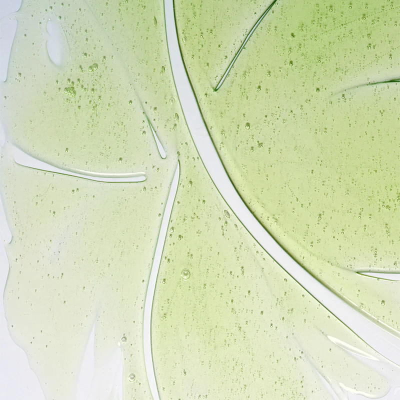 Herbalism Shampoo - Image 2