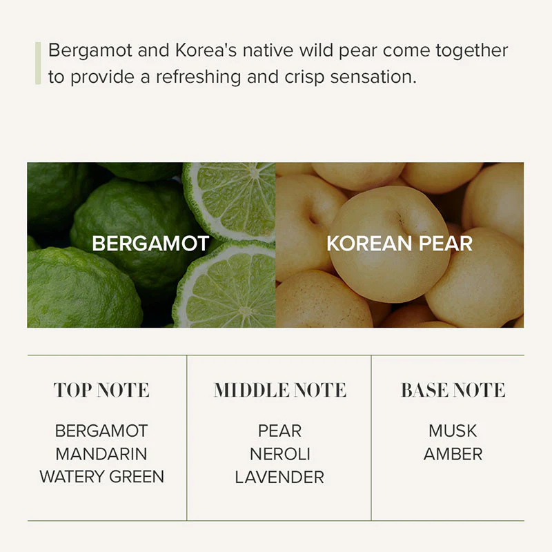 Seoul Edition Hand Cream - Image 6